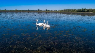 Природа регіону Супою — фото 2